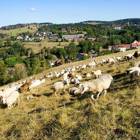 아파트 Gaestehaus Harzluft / Gruppenferienhaus